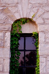 casement windows north virginia home improvement