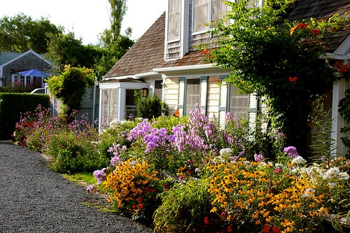 cottage garden