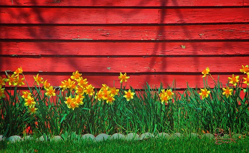 exterior medics siding