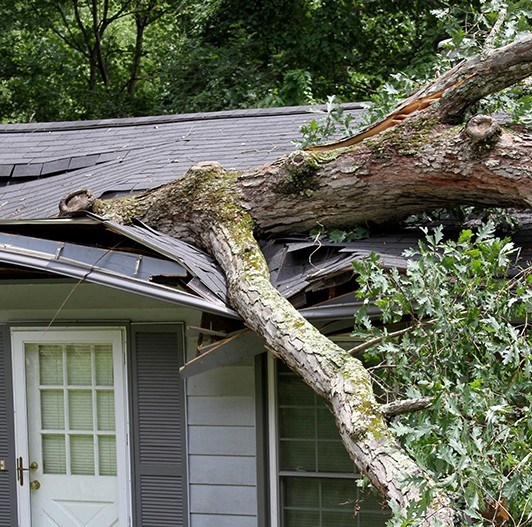 roof repair for severe weather in springfield va