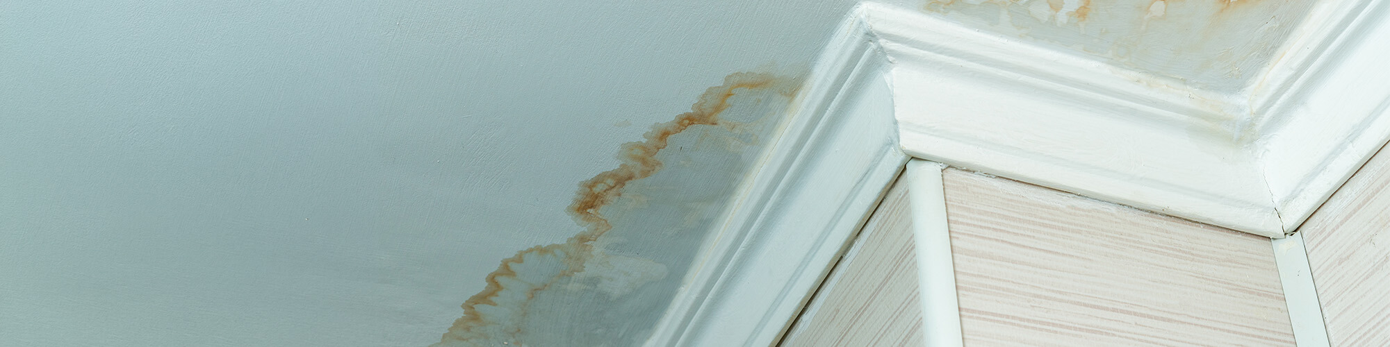 roof leak needing repair in Virginia