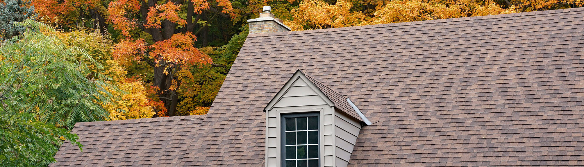 home needing roof maintenance in Springfield, VA