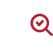 inspection icon