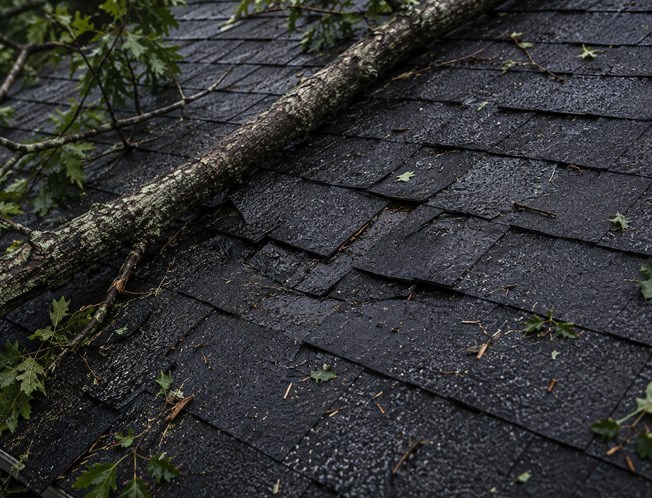emergency roof repair for tree damage