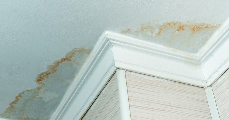 ceiling stains showing roof leak