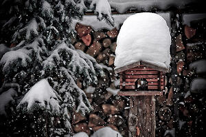 home improvement winter tips