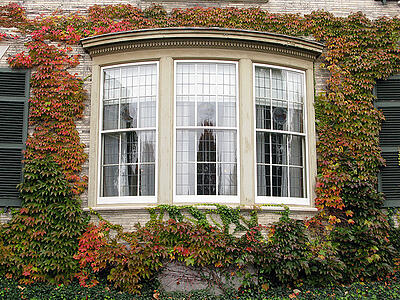 Northern virginia windows