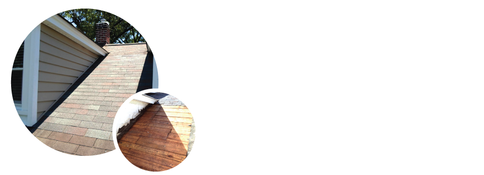 Roofing Services