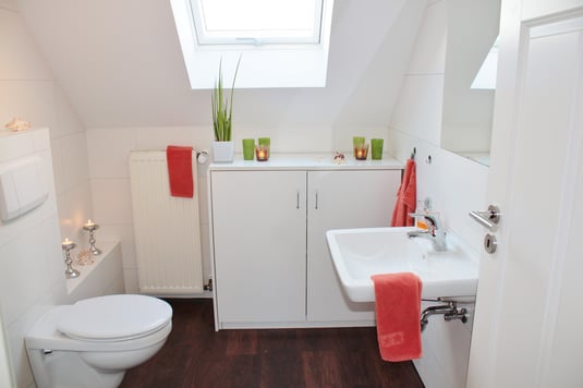 Northern-Virginia-Home-Remodeling-Trends-Bathroom-skylight.jpg
