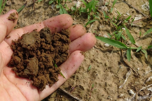 how-to-create-a-homemade-compost-bin-soil.jpg
