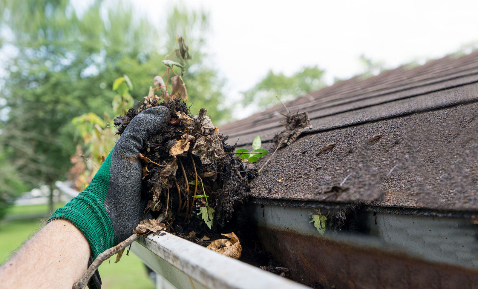 Roof Cleaning in Glen Carbon IL