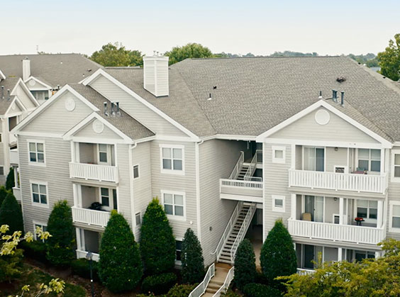 The Sanderling community